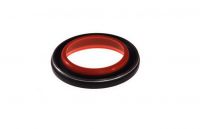 Семеринг 81-35894-00 V.Reinz  66.6x86x9.52