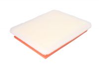 Филтър въздушен AP 051/6 FILTRON