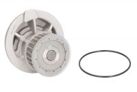 Помпа водна D1X023TT Thermotec