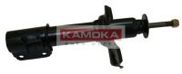20632126 KAMOKA
