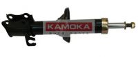 20632161 KAMOKA