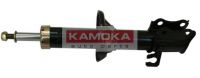 20632162 KAMOKA