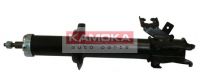 20632263 KAMOKA