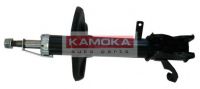 20333720 KAMOKA
