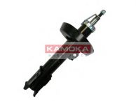 20334026 KAMOKA
