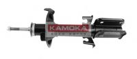 20334109 KAMOKA